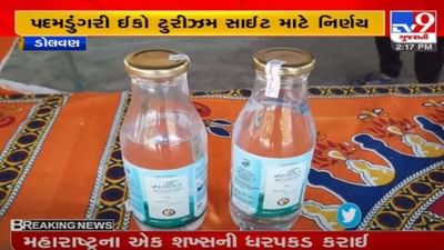 તાપી : સિંગલ યુઝ પ્લાસ્ટીક ફ્રી ઝોન, પદમડુંગરી ઈકો ટુરીઝમ સાઈટ માટે નિર્ણય