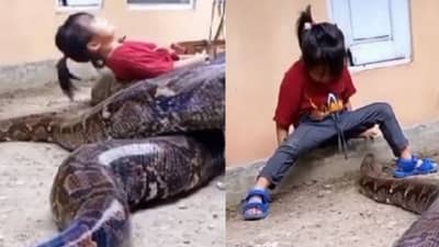 OMG : આ બાળકી રમકડાની જેમ મહાકાય સાપ સાથે કરી રહી છે મસ્તી ! વીડિયો વાયરલ થતા લોકોના હોંશ ઉડી ગયા