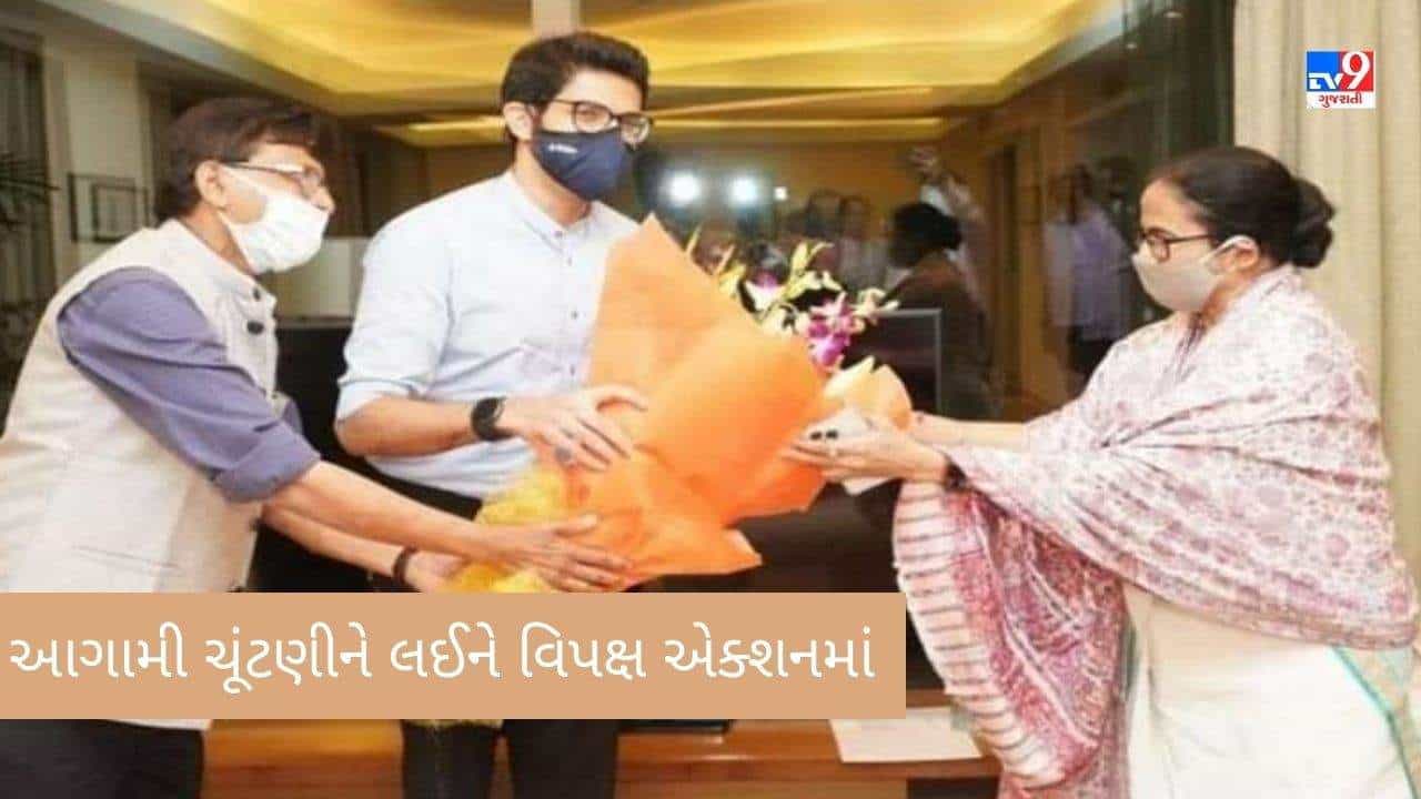 Maharashtra : આગામી લોકસભાની ચૂંટણીને લઈને વિપક્ષ એક્શનમાં, મમતા બેનર્જીએ શિવસેના નેતાઓ સાથે કરી મુલાકાત