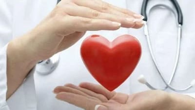 હાર્ટ ફ્રેન્ડલી: અળસી ખરાબ કોલેસ્ટ્રોલને નિયંત્રિત કરવામાં મદદરૂપ છે. દરરોજ અળસીનું સેવન કરવાથી કોલેસ્ટ્રોલનું સ્તર 6થી 11 ટકા ઓછું થઈ શકે છે. તેના સેવનથી હૃદયના ધબકારા સામાન્ય રહે છે. આ રીતે ફ્લેક્સસીડને હાર્ટ ફ્રેન્ડલી કહેવાય છે.