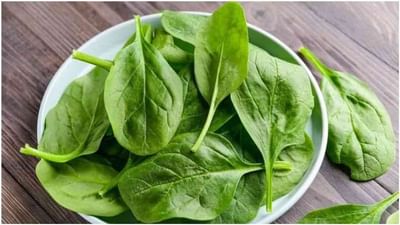 પાલક: આપણને ઘણીવાર લીલા શાકભાજી ખાવાની સલાહ આપવામાં આવે છે. આ શાકભાજીમાં પાલકનો પણ સમાવેશ થાય છે. તે પોષક તત્વોથી ભરપૂર છે જે સ્વાસ્થ્ય માટે ખૂબ જ ફાયદાકારક છે. તેમાં આયર્નનું પ્રમાણ વધુ હોય છે. તમે તેને અઠવાડિયામાં બે વાર શાકભાજી તરીકે અથવા અન્ય રીતે પણ ખાઈ શકો છો.
