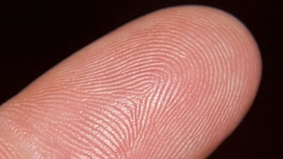 હાથની ફિંગરપ્રિન્ટ એટલી પાવરફુલ હોય છે કે તેનો ઉપયોગ પાસવર્ડ તરીકે થાય છે. ઓફિસોમાં હાજરી માટે પણ ફિંગરપ્રિન્ટનો ઉપયોગ કરવામાં આવે છે. આવી સ્થિતિમાં મોટો સવાલ એ છે કે હાથ બળી જાય, એસિડ પડે કે ઇજા થાય તો શું ફિંગરપ્રિન્ટ બદલાય છે, વ્યક્તિની ફિંગરપ્રિન્ટ સામેની વ્યક્તિ સાથે કેમ મેચ થતી નથી અને તે જીવનભર બદલાય છે, જાણો આ તમામ સવાલોના જવાબ