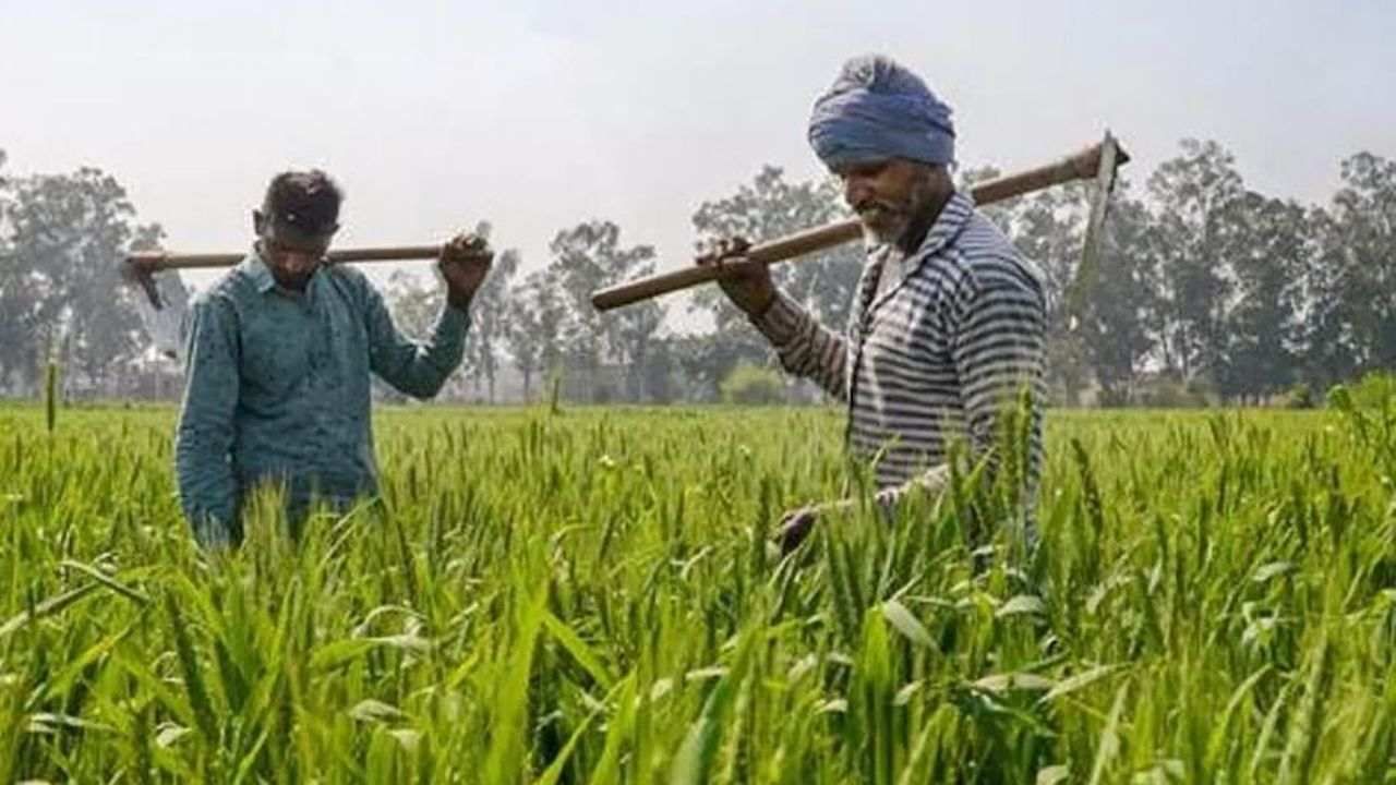 PM Kisan Yojana: 10માં હપ્તા પહેલા ચેક કરો લીસ્ટમાં તમારૂ નામ, ન હોય તો આ નંબર પર કરો કોલ