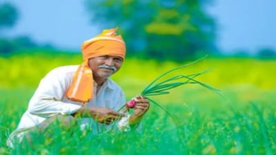 PM Fasal Bima Yojana: તમે સરળતાથી જાણી શકો છો તમારા પ્રિમીયમની રકમ, આ રહી સરળ રીત