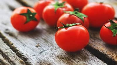 એક મહિનામાં ટામેટાના ભાવમાં 25 ટકા સુધીનો ઘટાડો નોંધાયો, છૂટક બજારમાં ટામેટા 58 રૂપિયા પ્રતિ કિલો સસ્તા થયા