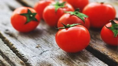 એક મહિનામાં ટામેટાના ભાવમાં 25 ટકા સુધીનો ઘટાડો નોંધાયો, છૂટક બજારમાં ટામેટા 58 રૂપિયા પ્રતિ કિલો સસ્તા થયા