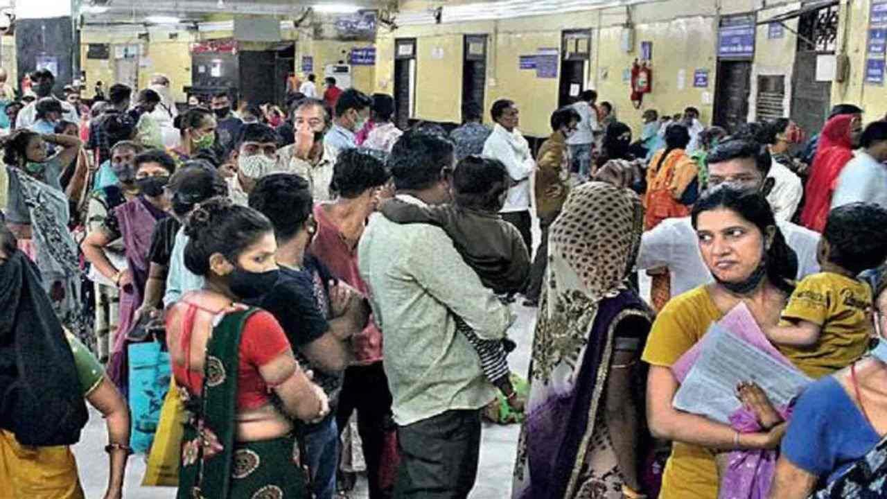 અમદાવાદ શહેરમાં એક વર્ષમાં ડેન્ગ્યુ અને ચિકનગુનિયાના કેસોમાં ભયજનક ઉછાળો