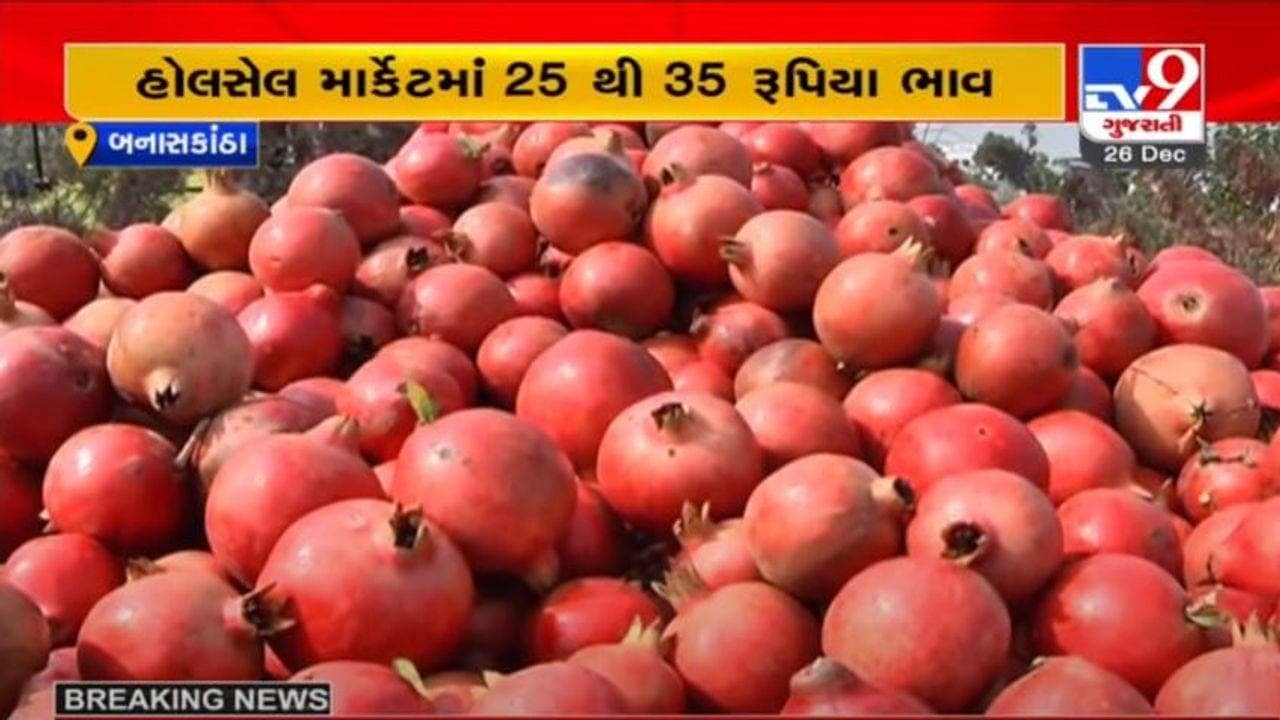 BANASKANTHA : દાડમના ઓછા ભાવોએ ખેડૂતોને રડાવ્યા, એક ખેડૂતે કહ્યું, “મરવાનો વારો આવ્યો”