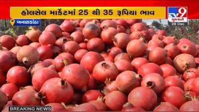 BANASKANTHA : દાડમના ઓછા ભાવોએ ખેડૂતોને રડાવ્યા, એક ખેડૂતે કહ્યું, મરવાનો વારો આવ્યો