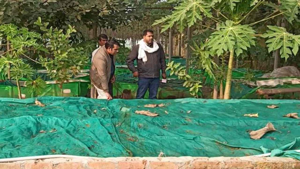 Success Story : એક લાખ પગારની નોકરી છોડી, ઓર્ગેનિક ખેતીને પ્રોત્સાહન આપવા આ રીતે ખેડૂતોને કરે છે મદદ