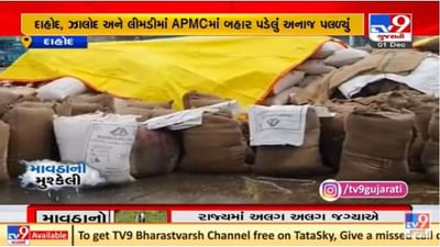 દાહોદ જિલ્લામાં માવઠાથી નુકશાન, એપીએમસીમાં બહાર પડેલું અનાજ પલળી ગયુ