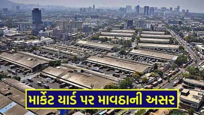 માર્કેટ યાર્ડ પર માવઠાની અસર: જાણો રાજ્યના કયા કયા માર્કેટ યાર્ડ બંધ રાખવાની જાહેરાત કરાઈ