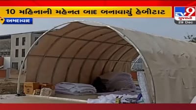 સેના માટે સુરક્ષા કવચ! આર્મી માટે ગુજરાત યુનિવર્સિટીએ બનાવ્યું જોરદાર હેબીટાટ, જાણો શું શું છે એમાં સુવિધા સેના માટે સુરક્ષા કવચ! આર્મી માટે ગુજરાત યુનિવર્સિટીએ બનાવ્યું જોરદાર હેબીટાટ, જાણો શું શું છે એમાં સુવિધા