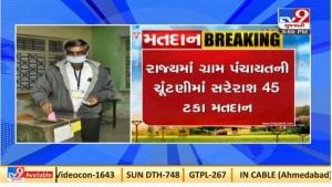 ગુજરાતમાં ગ્રામ પંચાયતની ચૂંટણીમાં ચાર વાગે સુધીમાં 45 ટકા મતદાન
