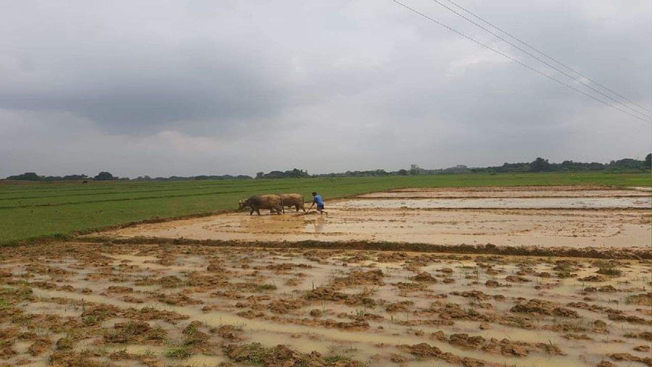 Kisan Diwas 2021: ખેડૂતોના વિકાસ માટે એક મોટું નેટવર્ક કામ કરે છે, છતાં અન્નદાતાઓ નારાજ છે!