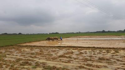 Kisan Diwas 2021: ખેડૂતોના વિકાસ માટે એક મોટું નેટવર્ક કામ કરે છે, છતાં અન્નદાતાઓ નારાજ છે!