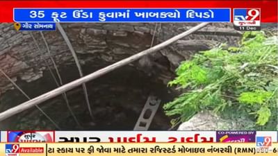 ગીર સોમનાથના સુત્રાપાડામાં કૂવામાં ખાબકેલા દીપડાનું રેસ્ક્યૂ કરાયું ગીર સોમનાથના સુત્રાપાડામાં કૂવામાં ખાબકેલા દીપડાનું રેસ્ક્યૂ કરાયું