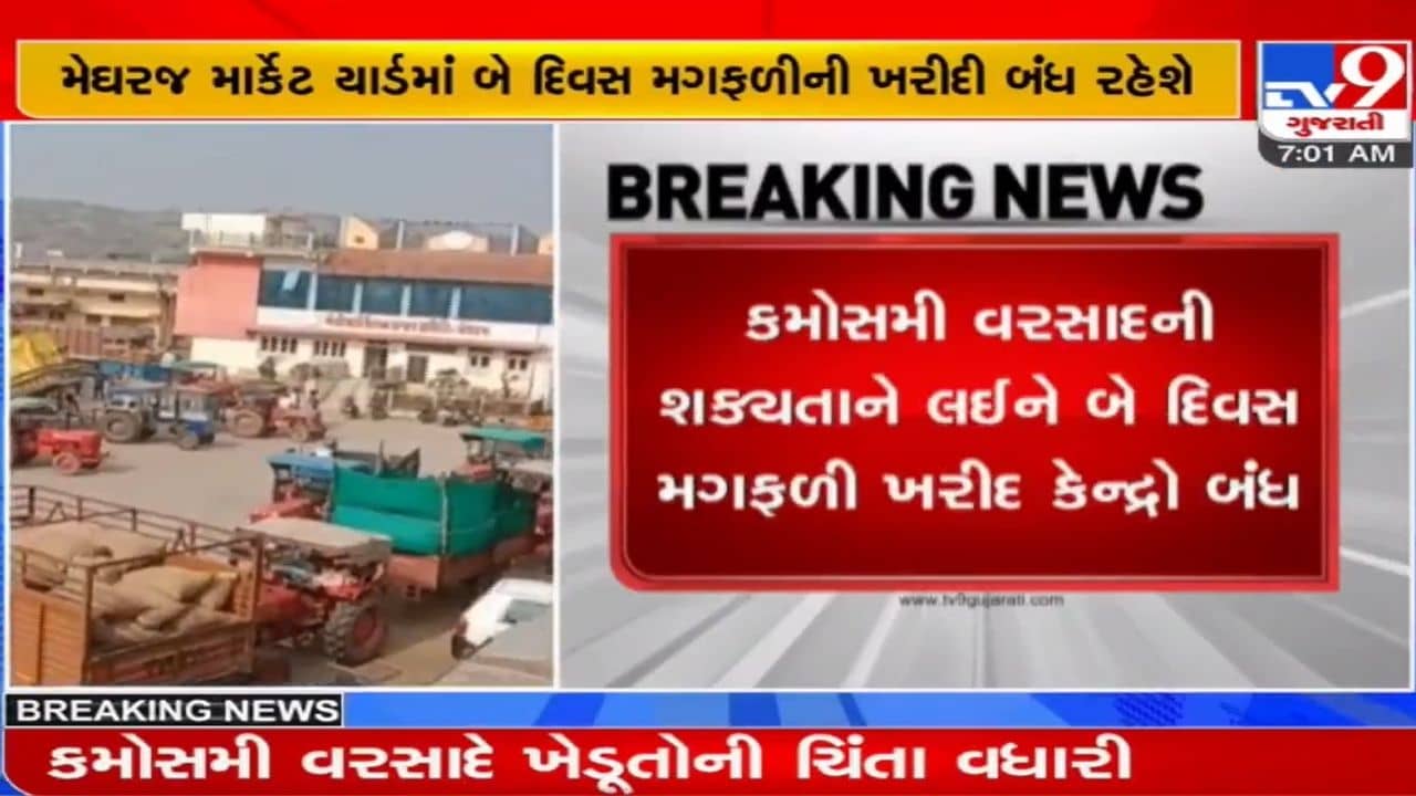 Aravalli: હવામાન વિભાગની આગાહીને કારણે આટલા દિવસ મેઘરજ માર્કેટ યાર્ડમાં મગફળીની ખરીદી બંધ