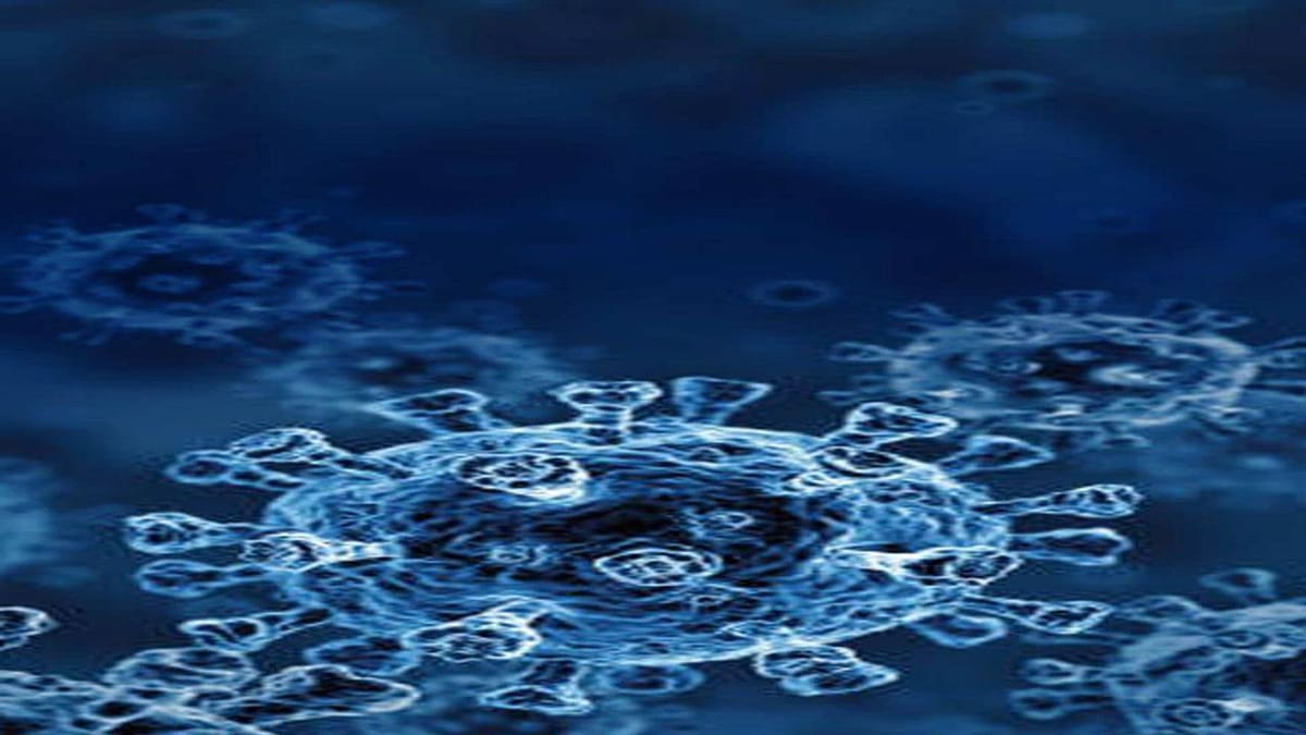 Omicron in Maharashtra:  મહારાષ્ટ્રમાં ઓમિક્રોનના 17 કેસ થયા, મુંબઈમાં 3 અને પિંપરી ચિંચવડમાં 4 કેસ સામે આવ્યા