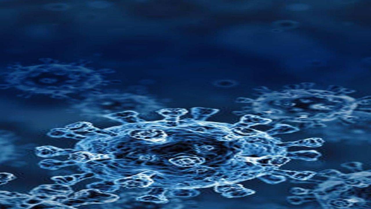 Omicron in Maharashtra: મહારાષ્ટ્રમાં ઓમિક્રોનના 17 કેસ થયા, મુંબઈમાં 3 અને પિંપરી ચિંચવડમાં 4 કેસ સામે આવ્યા