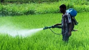 Pesticides Ban: સરકારે બે જંતુનાશક પર પ્રતિબંધ મૂક્યો, કંપનીઓ 2024 પછી વેચી શકશે નહીં