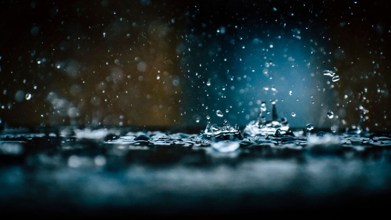 અમદાવાદમાં મોડી રાત્રે ભારે પવન સાથે વરસાદ, અનેક સ્થળે વૃક્ષ ધરાશાયી: રાજ્યમાં ઠેર ઠેર પડ્યો વરસાદ