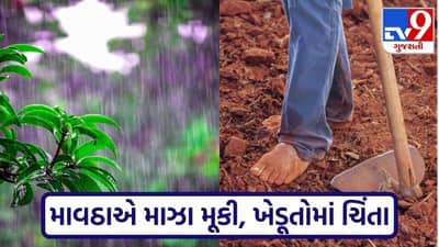 માવઠાએ માઝા મૂકી: રાજ્યના આ વિસ્તારોમાં પડ્યો વરસાદ, ખેડૂતો માટે જાહેર કરાઈ આ માર્ગદર્શિકા