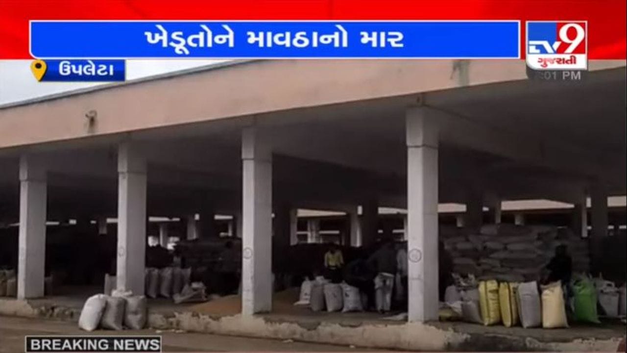 RAJKOT : વરસાદની આગાહીને પગલે ઉપલેટા માર્કેટ યાર્ડમાં હરાજી બંધ કરવામાં આવી RAJKOT : વરસાદની આગાહીને પગલે ઉપલેટા માર્કેટ યાર્ડમાં હરાજી બંધ કરવામાં આવી