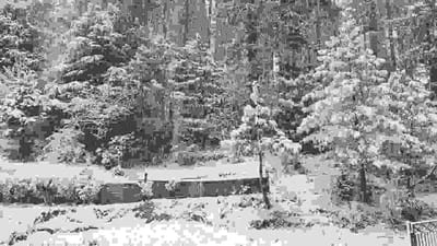 હિમયુગની દસ્તક: બરફની સફેદ ચાદરથી બદલાઈ ગઈ પહાડ અને ખીણની તસવીર, જાણો પ્રવાસનને ફાયદો થશે?