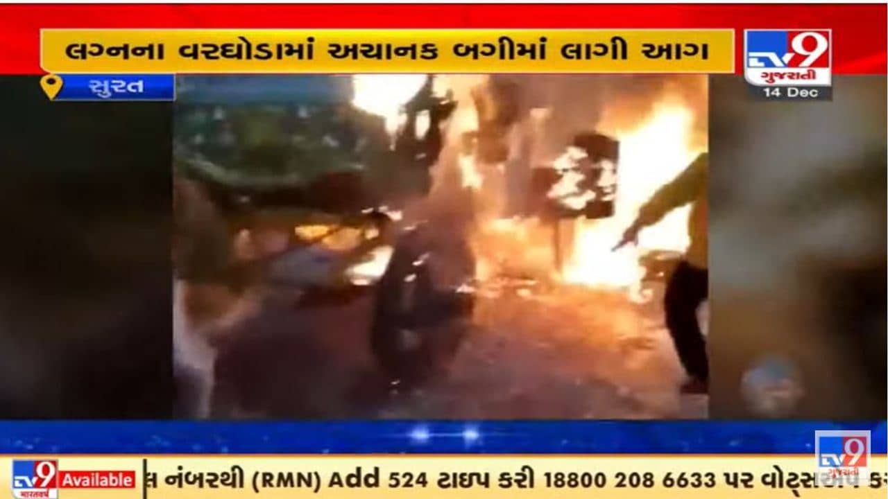 વરરાજાની બગીમાં લાગી આગ, કથિત વિડીયો સોશિયલ મીડિયામાં વાયરલ