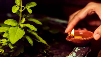 Tulsi Puja: તુલસીનો એક છોડ પ્રદાન કરશે સંતાન અને કારકિર્દીના આશીર્વાદ, જાણો તુલસી પૂજાના રસપ્રદ લાભ !