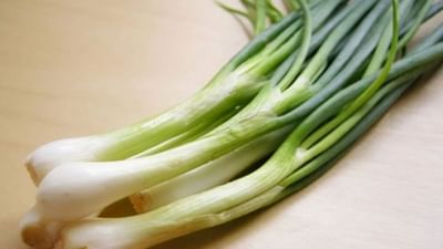 શિયાળામાં ખાવામાં આવતી લીલી ડુંગળી પોષક મૂલ્યોથી છે ભરપૂર, તેના સ્વાસ્થ્ય લાભો જાણીને ચોંકી જશો
