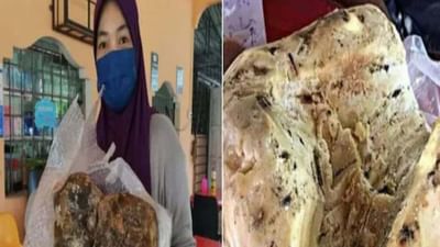 OMG : કચરાથી ચમકી કિસ્મત ! સમુદ્ર કિનારેથી મળેલા મામુલી કચરાને કારણે આ મહિલા રાતોરાત બની કરોડપતિ