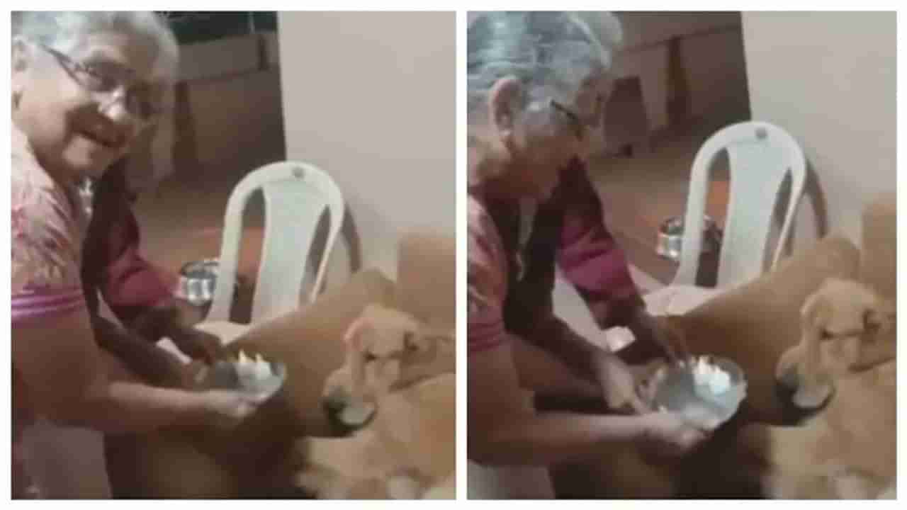 Viral Video: સુધા મૂર્તિએ તેમના કૂતરા ગોપીના જન્મદિવસ પર તેની આરતી ઉતારી, ખુબ જ પ્રેમભર્યો છે આ વીડિયો