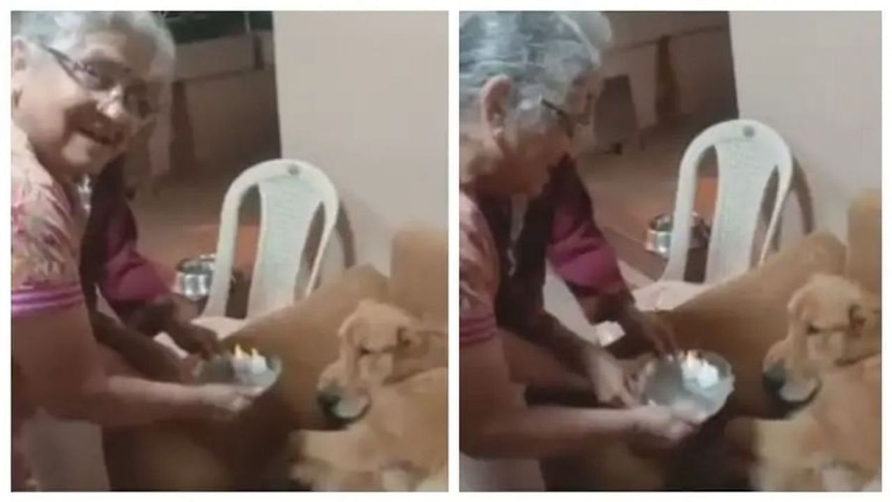 Viral Video: સુધા મૂર્તિએ તેમના કૂતરા ગોપીના જન્મદિવસ પર તેની આરતી ઉતારી, ખુબ જ પ્રેમભર્યો છે આ વીડિયો