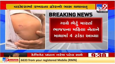 વડોદરામાં ગાયની અડફેટે આવ્યા ભાજપના નેતા, હોસ્પિટલમાં ખસેડાયા