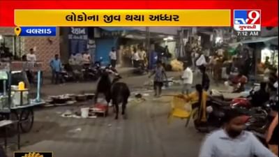 VALSAD : ભરબજારે બે આખલાઓ સામસામે આવતા લોકોના જીવ તાળવે ચોટ્યા, જુઓ વિડીયો VALSAD : ભરબજારે બે આખલાઓ સામસામે આવતા લોકોના જીવ તાળવે ચોટ્યા, જુઓ વિડીયો