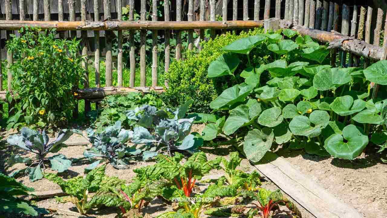 Vegetables Farming : ઓછી મહેનતે ઘરે સરળતાથી ઉગાડી શકાય છે 5 શાકભાજી, જાણો રીત