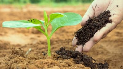 Success Story: આ મહિલા ખેડૂત ખેતીની સાથે વર્મી કમ્પોસ્ટ બનાવે છે, દર વર્ષે કમાય છે 5 લાખ, ઘણા રાજ્યોમાં છે માગ