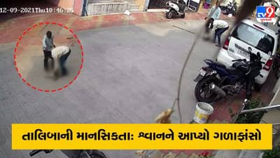 તાલિબાની માનસિકતા: સુરતમાં શ્વાનને ગળાફાંસો આપી મારનાર વિરુદ્ધ ફરિયાદ, વિડીયો વાયરલ થતાં લોકોમાં આક્રોશ