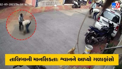 તાલિબાની માનસિકતા: સુરતમાં શ્વાનને ગળાફાંસો આપી મારનાર વિરુદ્ધ ફરિયાદ, વિડીયો વાયરલ થતાં લોકોમાં આક્રોશ