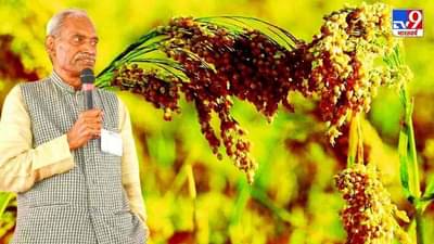 કોણ છે સુભાષ પાલેકર, જેમણે સૌથી પહેલા આપ્યો ઝીરો બજેટ કુદરતી ખેતીનો મંત્ર ?