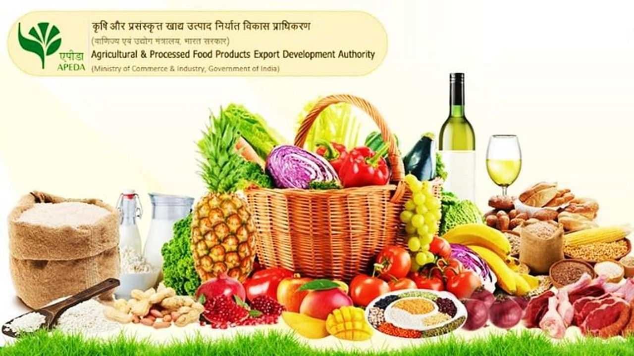 ખેડૂતો માટે સારા સમાચાર ! કૃષિ અને પ્રોસેસ્ડ ફૂડ પ્રોડક્ટ્સની નિકાસમાં 13 ટકાનો વધારો થયો