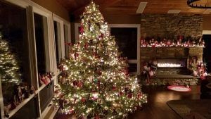 Christmas 2021 : ક્રિસમસ પર ઝાડને કેમ શણગારવામાં આવે છે ? આ ટ્રેન્ડ ક્યાંથી શરૂ થયો અને ભગવાન ઇસુના જન્મ સાથે તેનો શું સંબંધ છે?