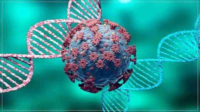 Omicron: કેવા હોય છે ઓમિક્રોનના પ્રારંભિક લક્ષણ ? ડેલ્ટા-બીટાથી અલગ છે આ વેરિયન્ટ, દક્ષિણ આફ્રિકાના ડોક્ટરે આપી જાણકારી