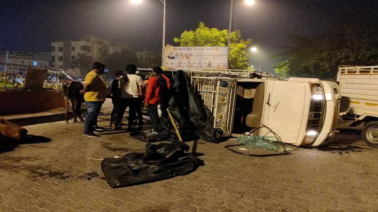 Surat : 11 ગૌવંશ ભરી બેફામ દોડી રહેલો ટેમ્પો દુર્ઘટનાગ્રસ્ત, ચાલક સહીત બે પકડાયા