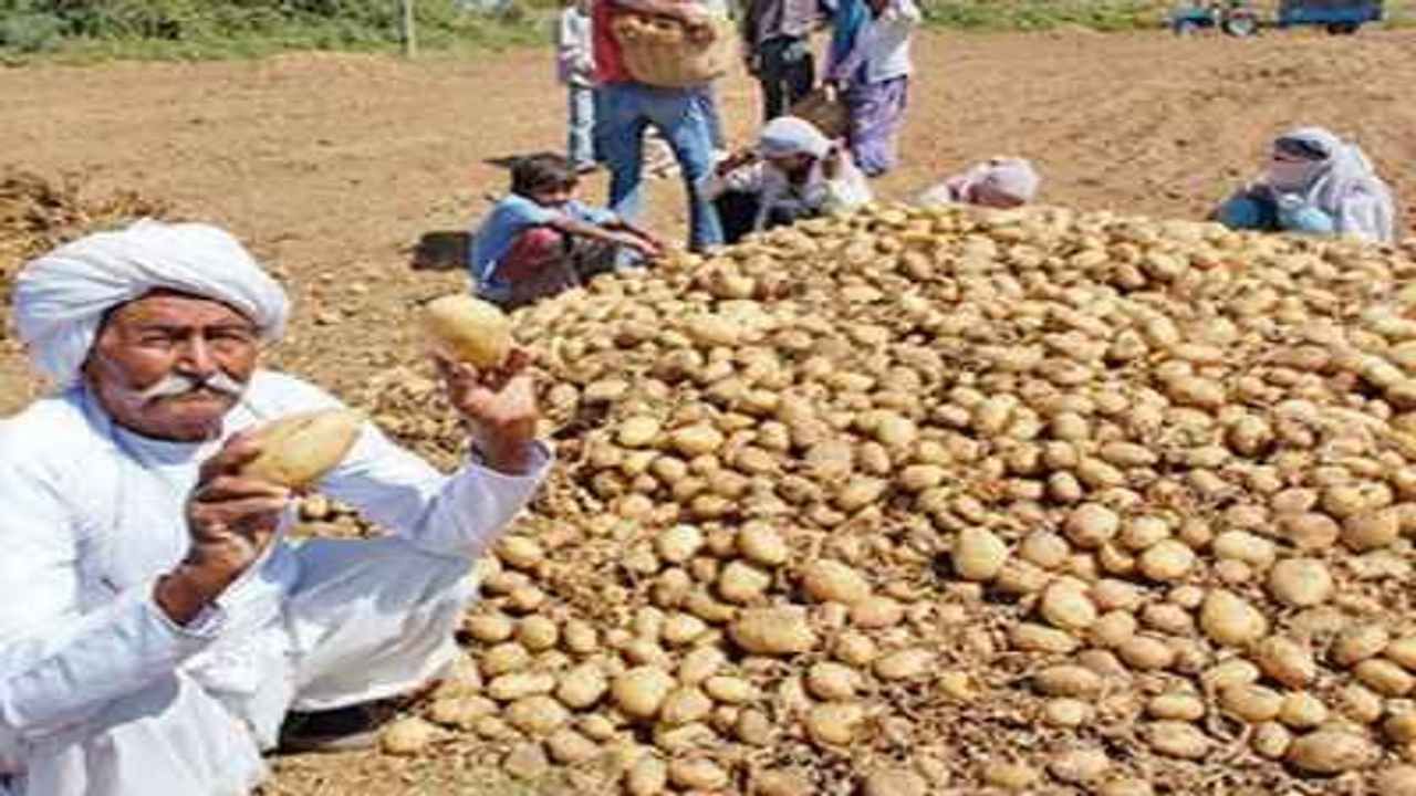 ગુજરાતના ખેડૂતોની મોટી જીત, બટાકાના બીજ વિવાદ મુદ્દે પેપ્સિકો કંપનીની હાર