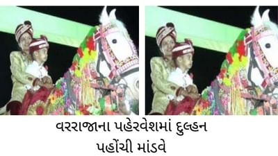 OMG : શેરવાની પહેરીને ઘોડા પર સવાર થઈ આ દુલ્હન ! આ કારણે વરરાજાનો પહેરવેશ કર્યો ધારણ, જુઓ VIDEO