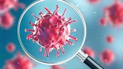 Omicron in india : દેશમાં ઓમિક્રોનના કેસ વધીને 32 થયા, મહારાષ્ટ્રમાં સૌથી વધુ પોઝિટિવ દર્દીઓ, સરકારે કહ્યું તમામ સંક્રમિતોમાં હળવા લક્ષણો