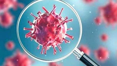 Omicron in india : દેશમાં ઓમિક્રોનના કેસ વધીને 32 થયા, મહારાષ્ટ્રમાં સૌથી વધુ પોઝિટિવ દર્દીઓ, સરકારે કહ્યું તમામ સંક્રમિતોમાં હળવા લક્ષણો